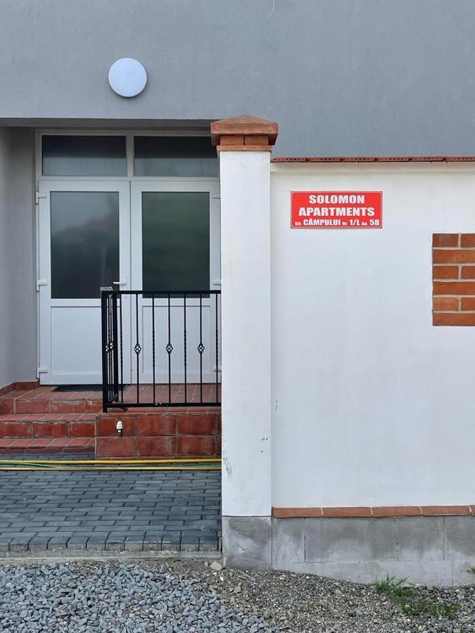 Solomon Apartments Ap 2 Sîngeorgiu de Mureş Eksteriør bilde